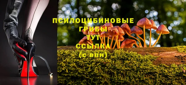 spice Ступино