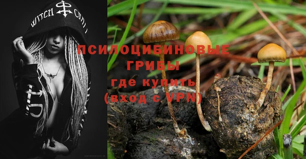 амф Строитель