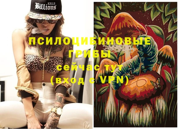 spice Ступино