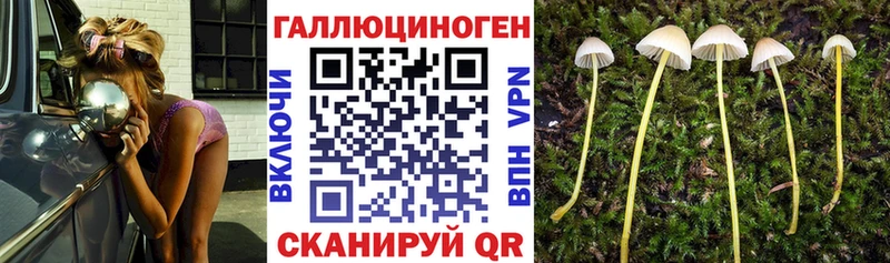 Псилоцибиновые грибы Cubensis  Купить закладки  Партизанск 
